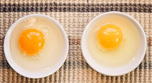 Сколько содержиться белка в яйце