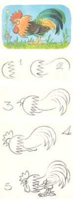 Поэтапное рисование курицы