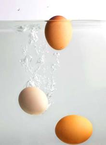 всплывают яйца в воде