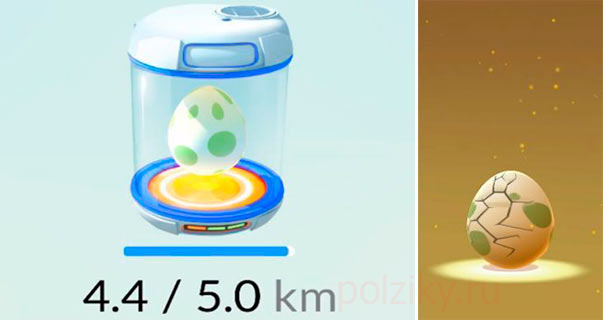 Как засунуть яйцо в инкубатор в Pokemon go