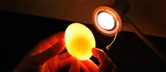 Как сделать обычное яйцо прозрачным светящимся или резиновым