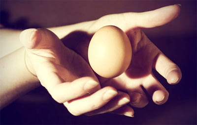 Обработка яиц на пищеблоке по СанПиНу, на предприятиях общепита