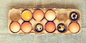 Как проверить перепелиные яйца