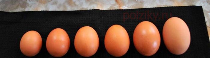 Категории куриного яйца и его вес