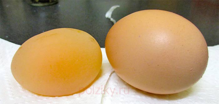 Тонкая скорлупа у куриных яиц - что делать